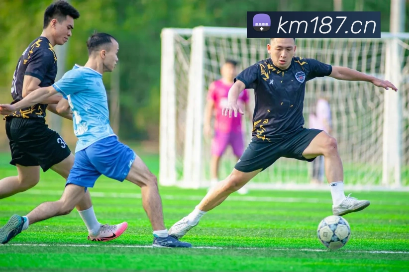 开云app官方官网服务体系